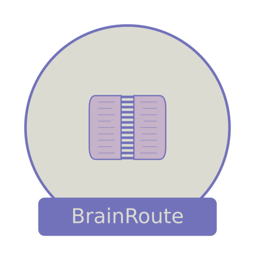 BrainRoute логотип